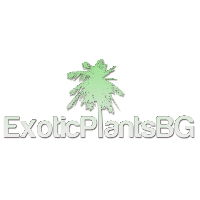 exoticplants